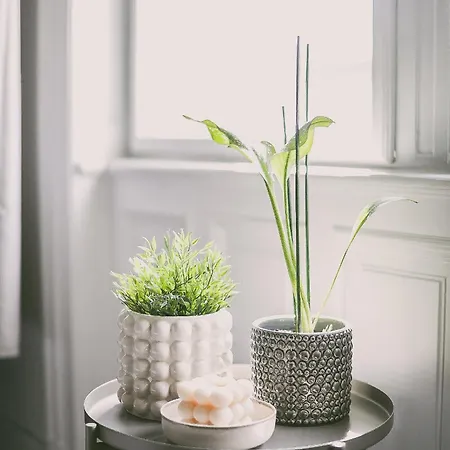 Apartment Ccc Budapest